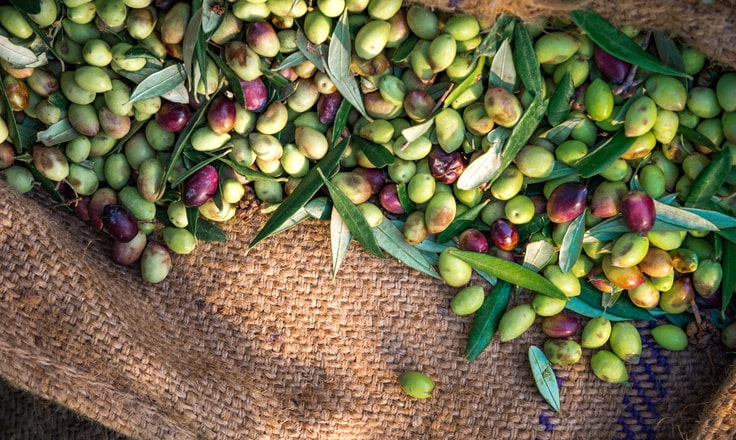 Monini chooses Comarch’s EDI platform